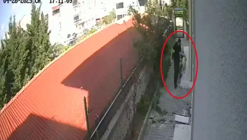 Hayvanseverleri Üzen Olay: Doktorun Köpekleri Parçalayıp Öldürmesi