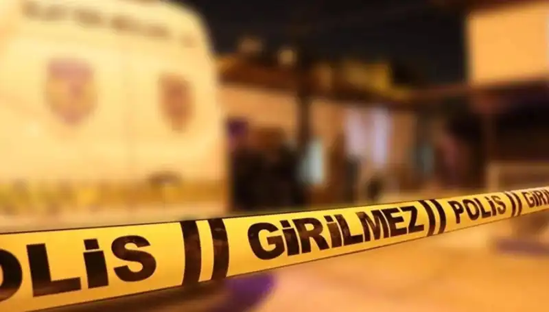 Diyarbakır'da Gözleri Dönmüş Kayınpeder Dehşeti: Olayın Ardındaki Gerçekler