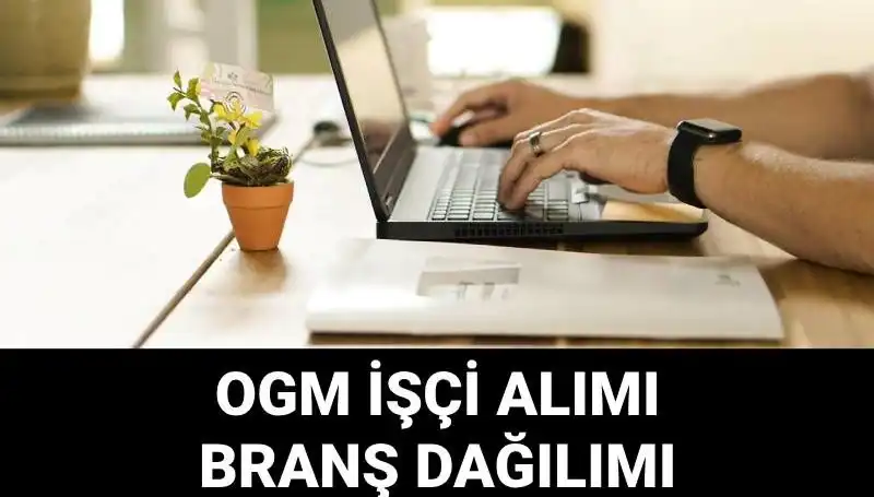 Orman Genel Müdürlüğü, 4500 Geçici İşçi Alımı Yapacak: Başvuru Şartları Neler?